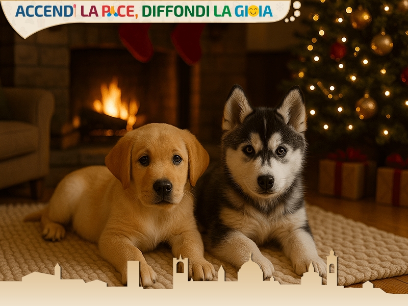 Invia Auguri Solidali